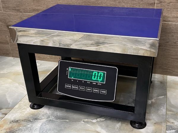 Cân Điện Tử 300kg RJ 8201 Ghế Ngồi Đài Loan Giá Rẻ