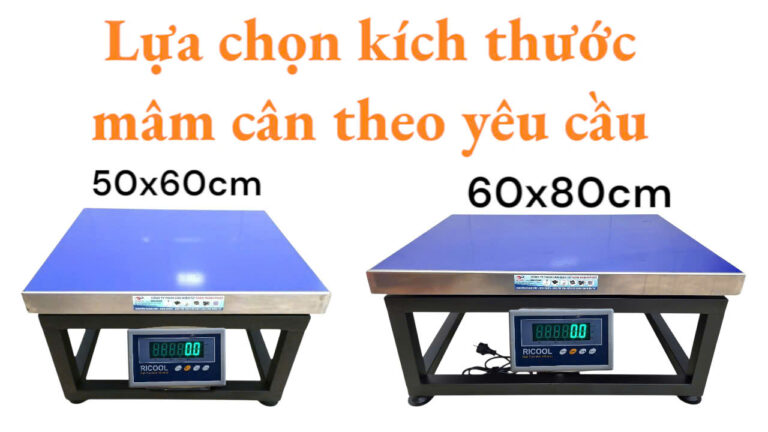 CÂN ĐIỆN TỬ 500KG GHẾ NGỒI ĐÀI LOAN