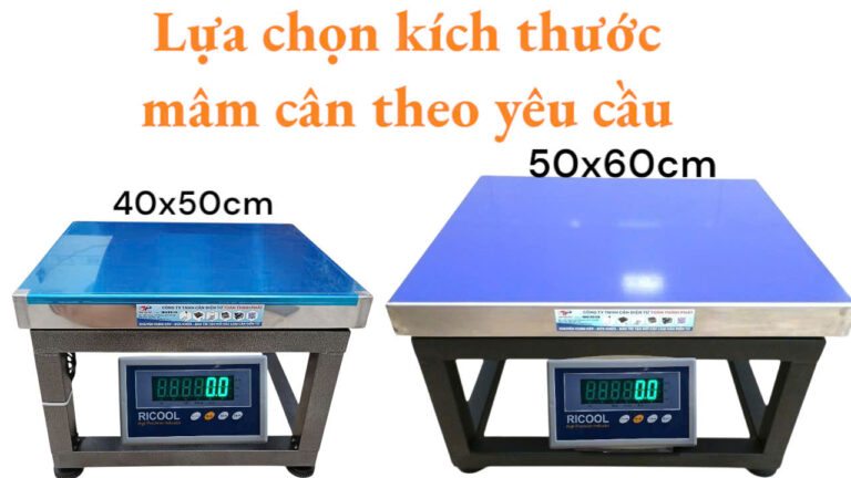 CÂN ĐIỆN TỬ 300KG GHẾ NGỒI ĐÀI LOAN