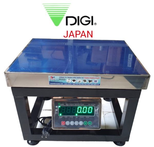 Cân ghế ngồi 300kg DIGI DS167SS